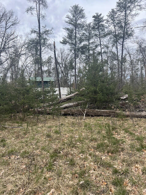 11168 West 52nd Road Wellston, MI 49689 - Photo 34 of 39 GS 07