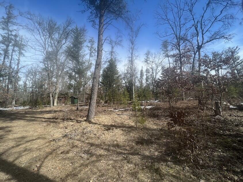 11168 West 52nd Road Wellston, MI 49689 - Photo 36 of 39 gs28