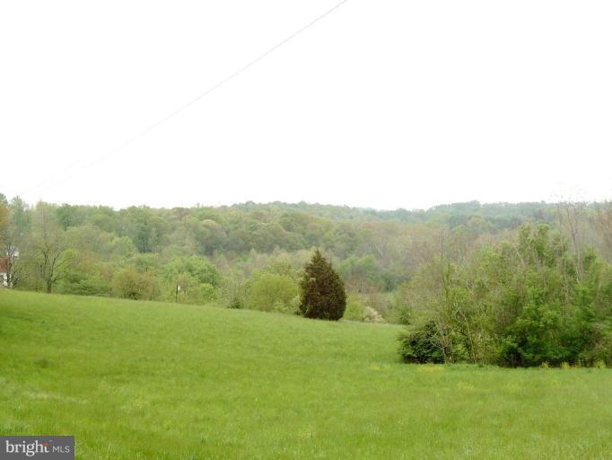 3231 Bidle Road Middletown, MD 21769 - Photo 4 of 8 More beautiful landscapes