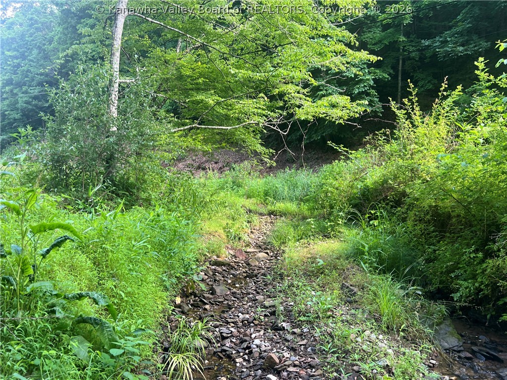 0 Starcher Fork Road Spencer, WV 25276 - Photo 10 of 17 Gallery Image 10