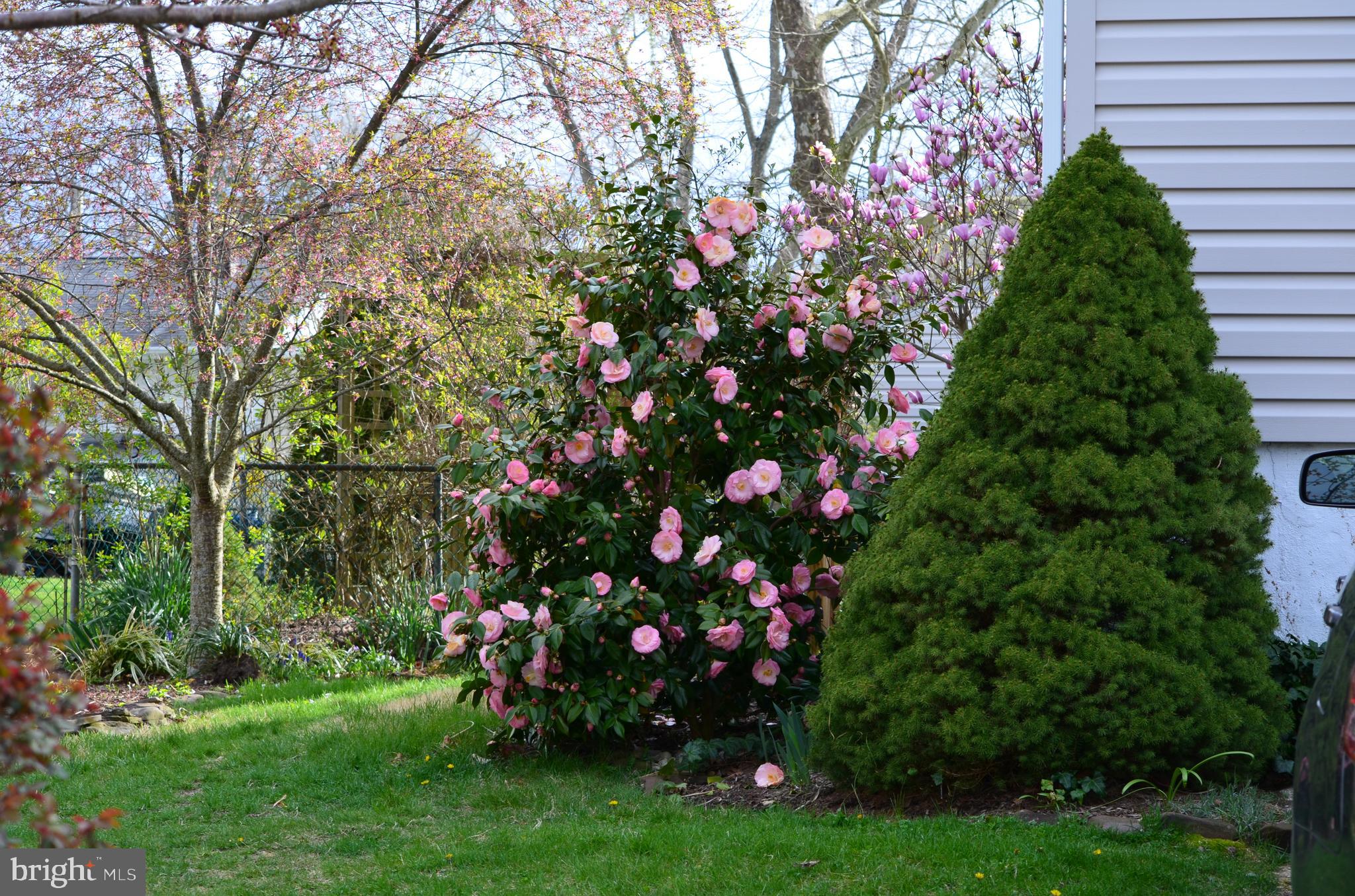 11 Alden Road Gibbsboro, NJ 08026 - Photo 24 of 40 Gallery Image 24