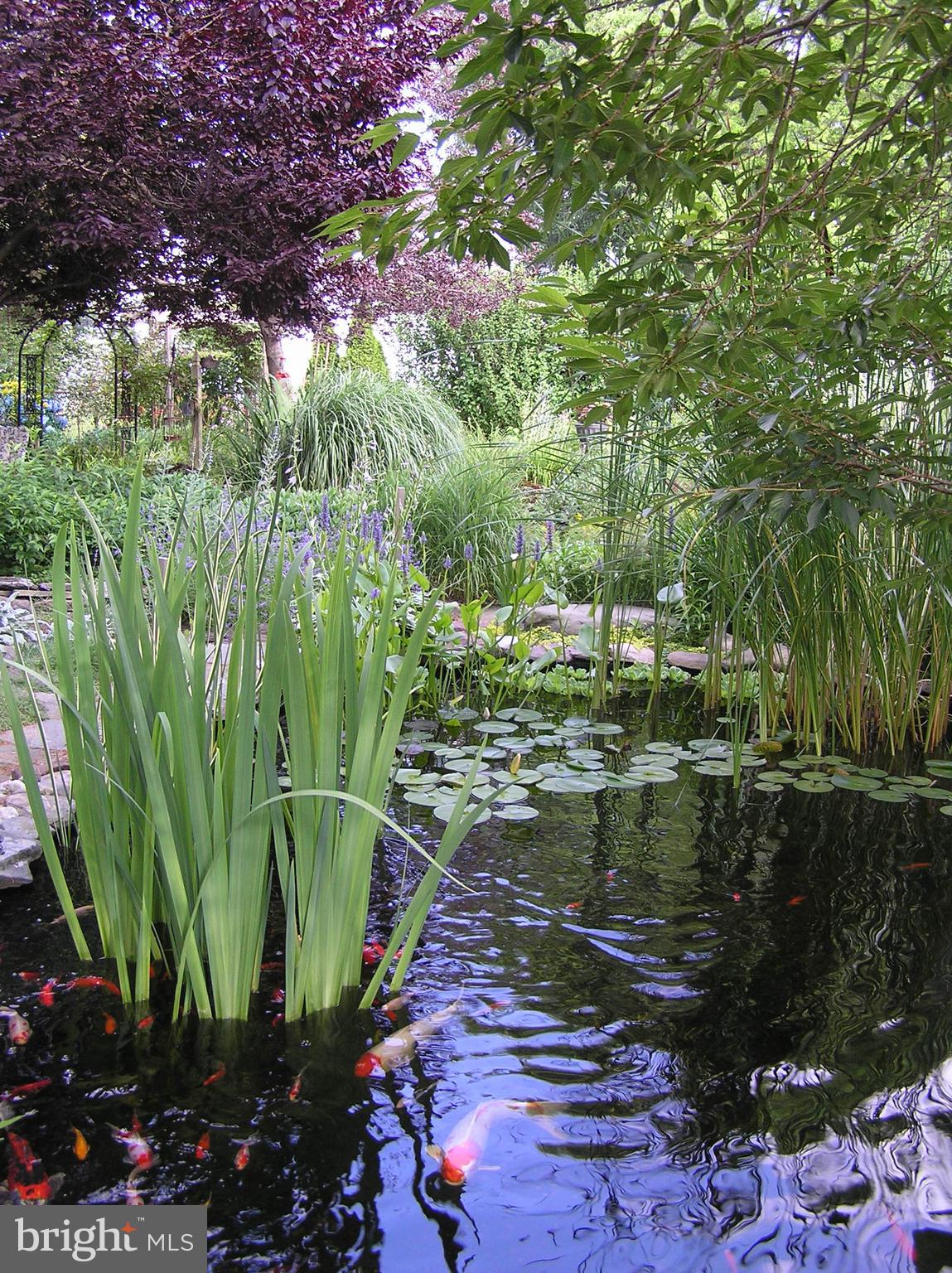 11 Alden Road Gibbsboro, NJ 08026 - Photo 26 of 40 Gallery Image 26