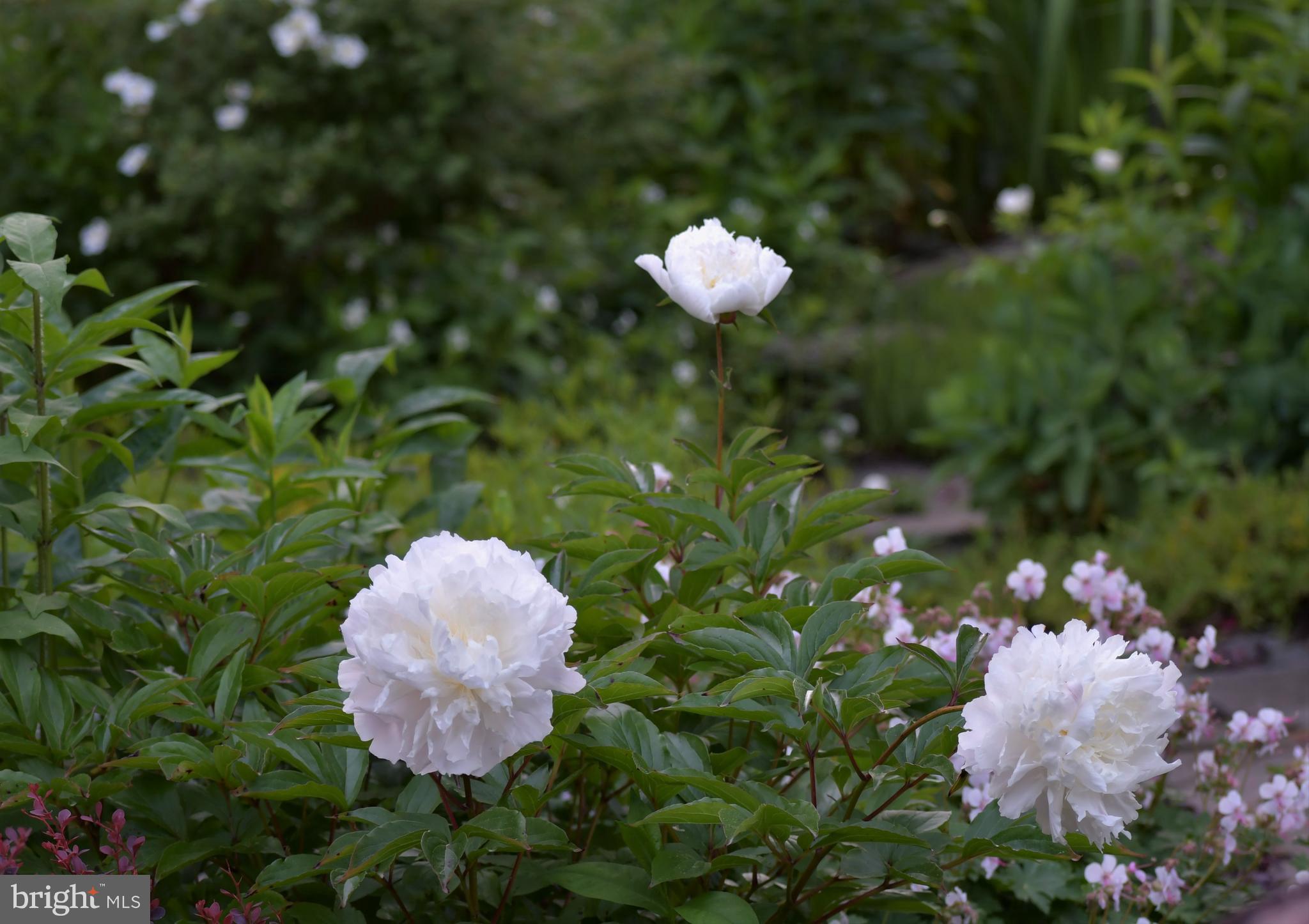 11 Alden Road Gibbsboro, NJ 08026 - Photo 27 of 40 Gallery Image 27