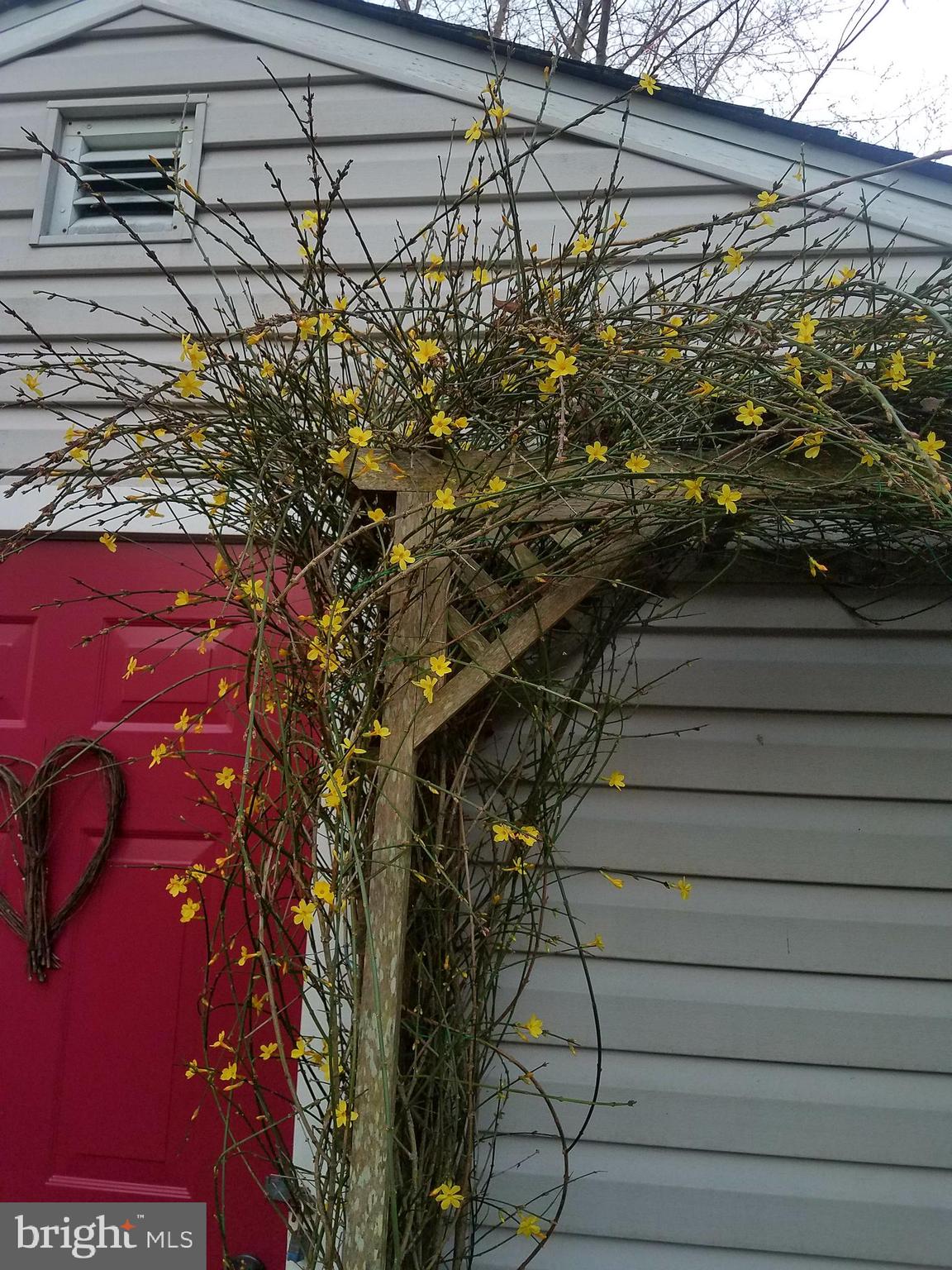 11 Alden Road Gibbsboro, NJ 08026 - Photo 29 of 40 Gallery Image 29