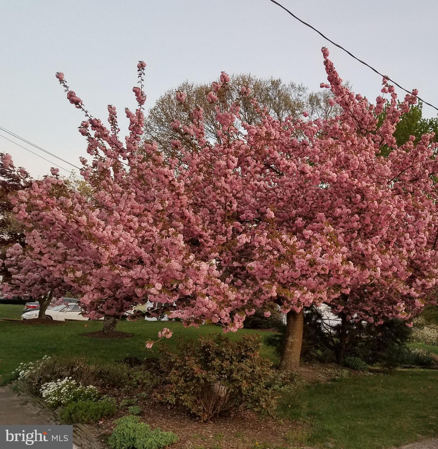11 Alden Road Gibbsboro, NJ 08026 - Photo 32 of 40 Gallery Image 32