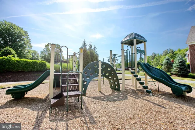 a view of a yard with plants and trees