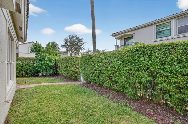 a view of a backyard with plants
