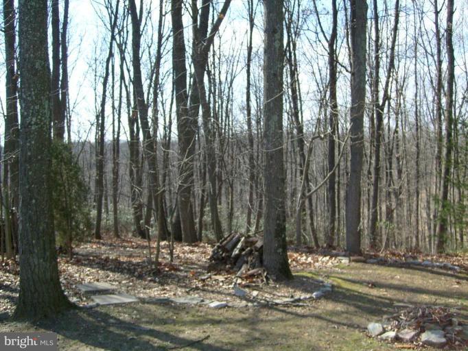 3212 Patapsco Road Finksburg, MD 21048 - Photo 8 of 26 a view of outdoor space and yard