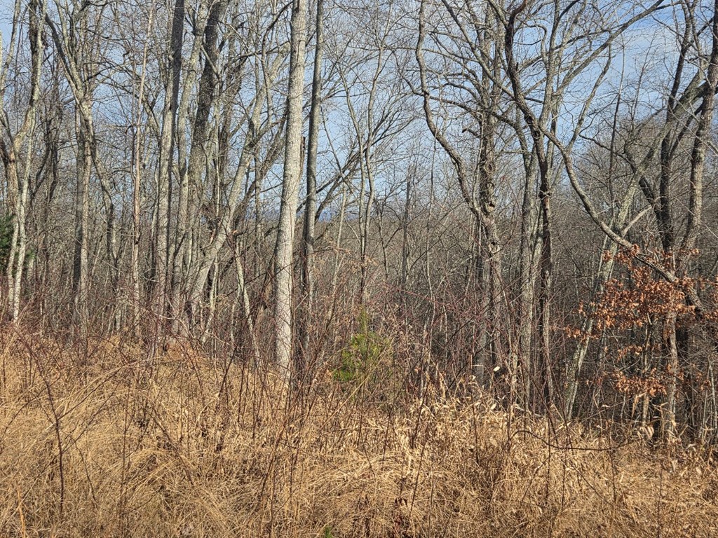 115 Calvender Road Turtletown, TN 37391 - Photo 11 of 25