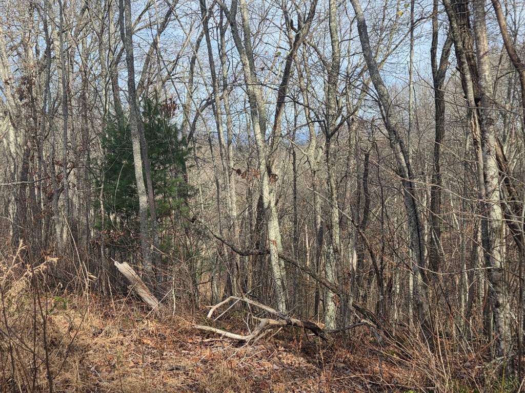 115 Calvender Road Turtletown, TN 37391 - Photo 12 of 25