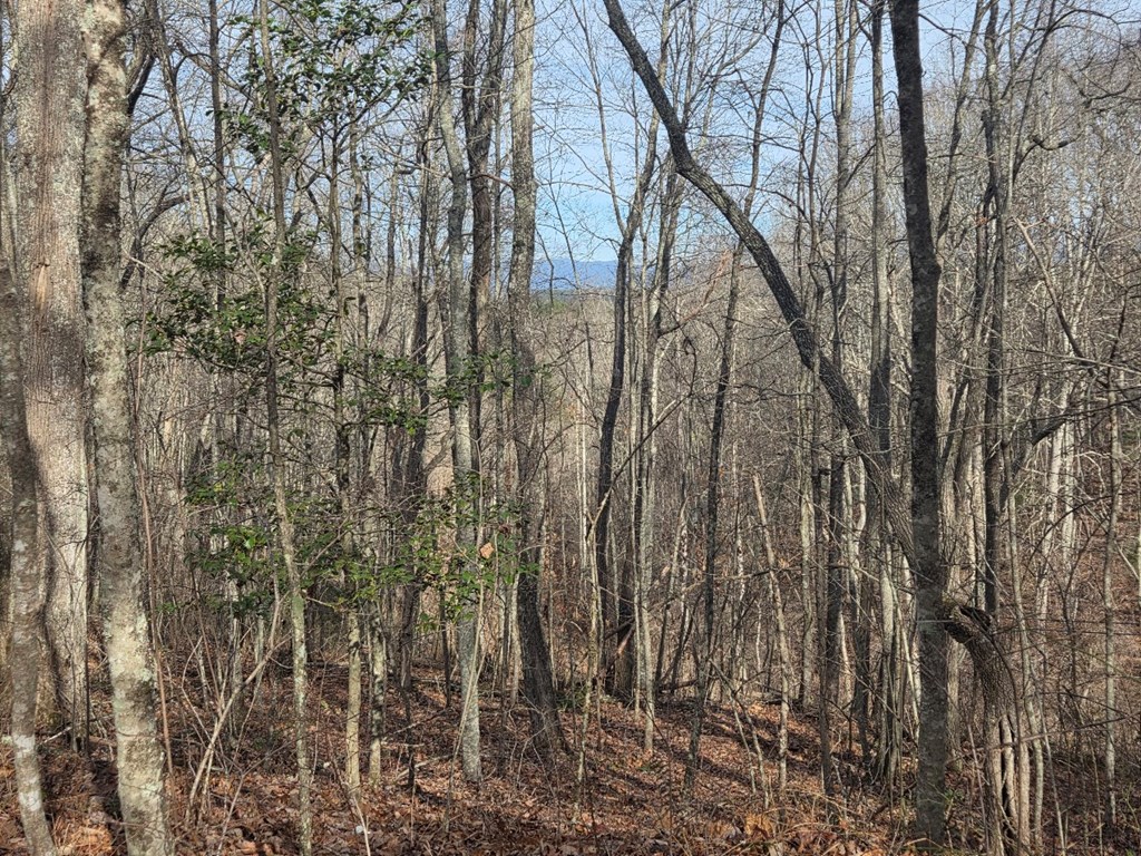 115 Calvender Road Turtletown, TN 37391 - Photo 13 of 25