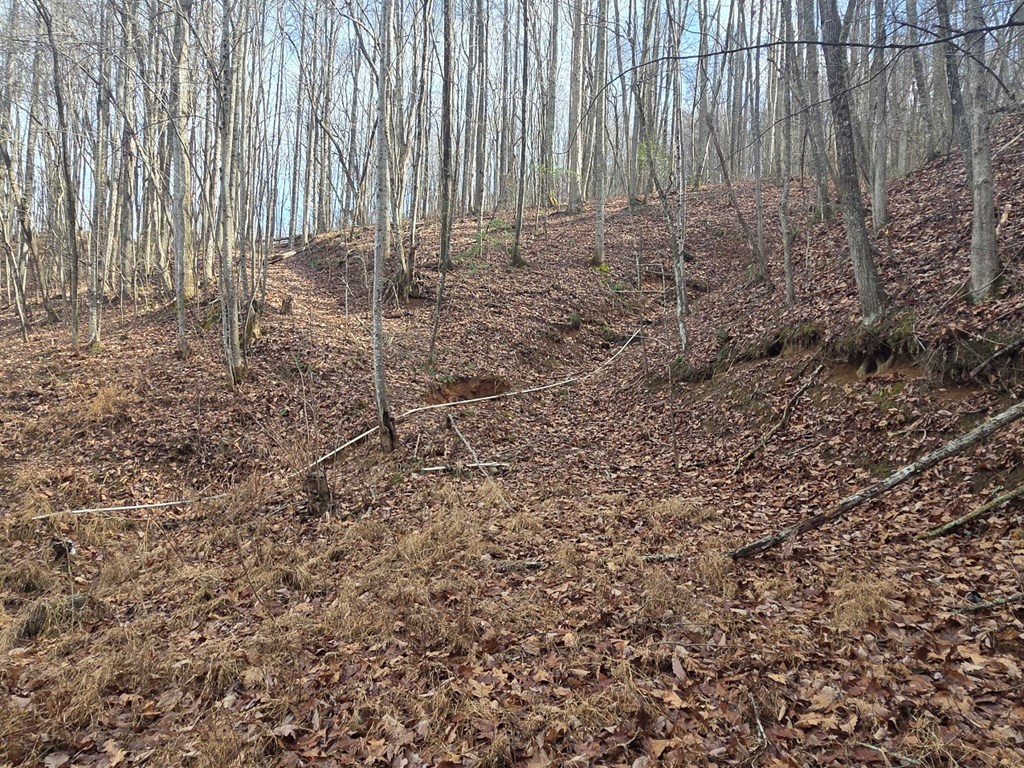 115 Calvender Road Turtletown, TN 37391 - Photo 14 of 25