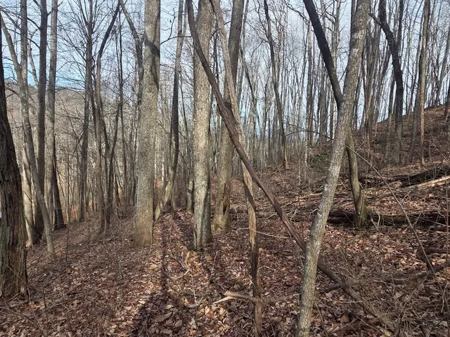 a view of a backyard of the house
