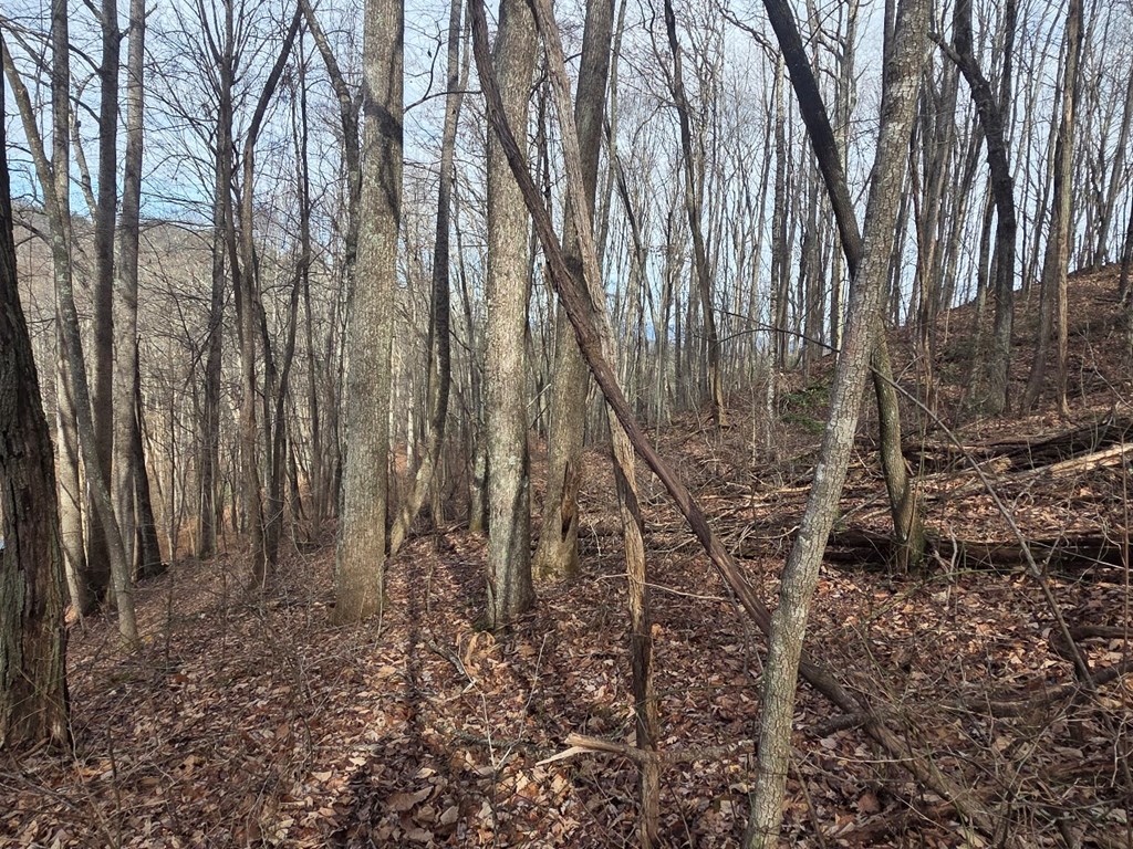 115 Calvender Road Turtletown, TN 37391 - Photo 16 of 25