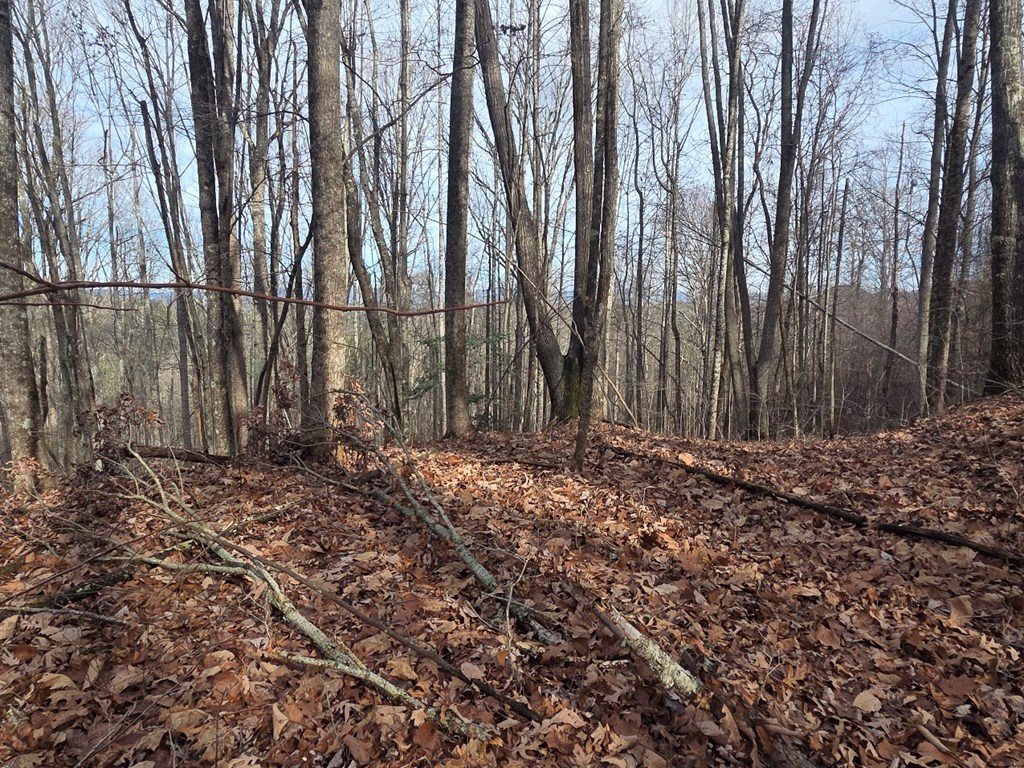 115 Calvender Road Turtletown, TN 37391 - Photo 17 of 25