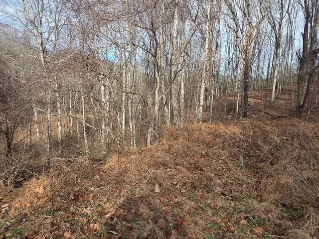 a view of a backyard with table and chairs a barbeque with wooden fence