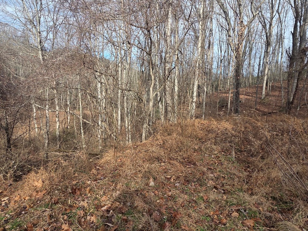 115 Calvender Road Turtletown, TN 37391 - Photo 19 of 25