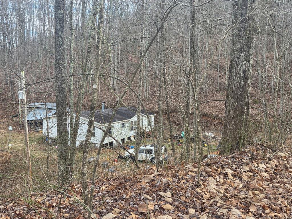 115 Calvender Road Turtletown, TN 37391 - Photo 2 of 25