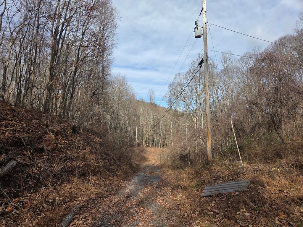 115 Calvender Road Turtletown, TN 37391 - Photo 21 of 25