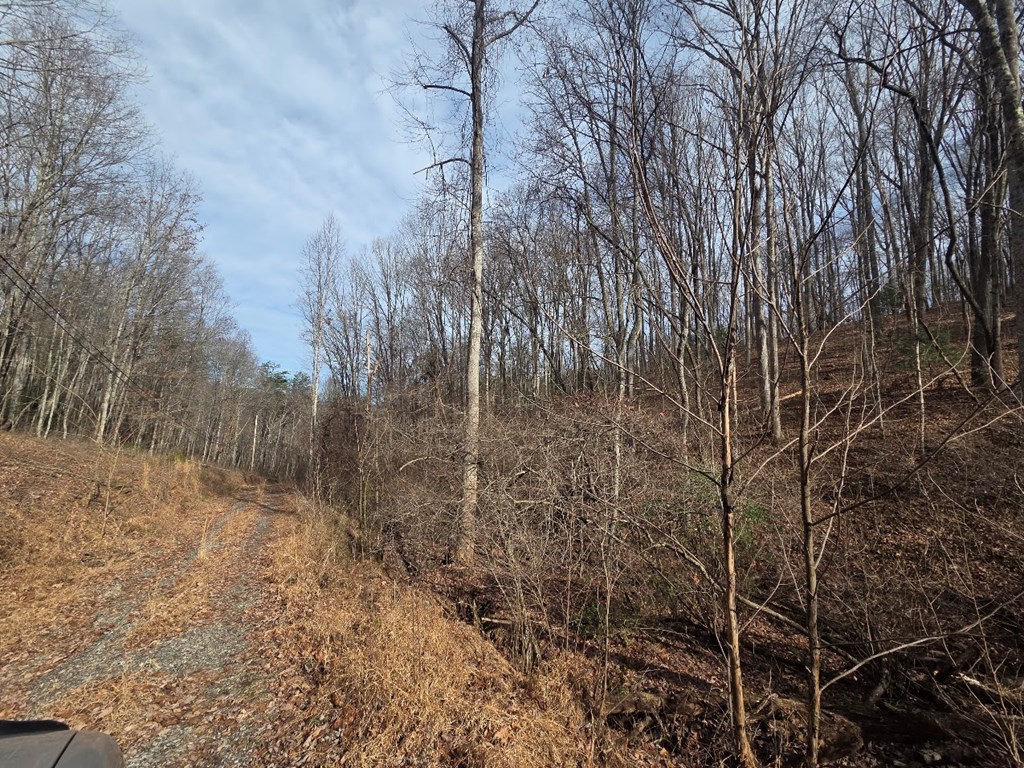 115 Calvender Road Turtletown, TN 37391 - Photo 23 of 25