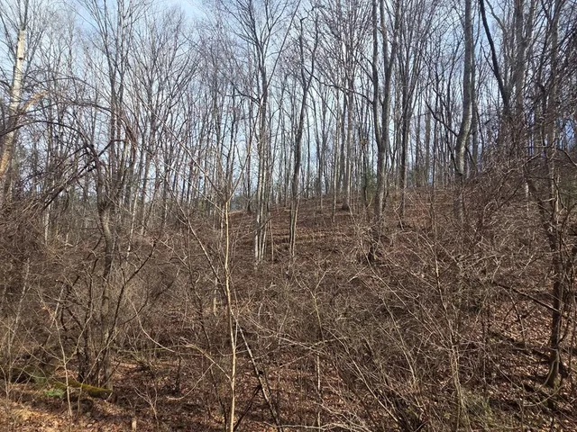 $279,900 | 115 Calvender Road, Turtletown, TN 37391