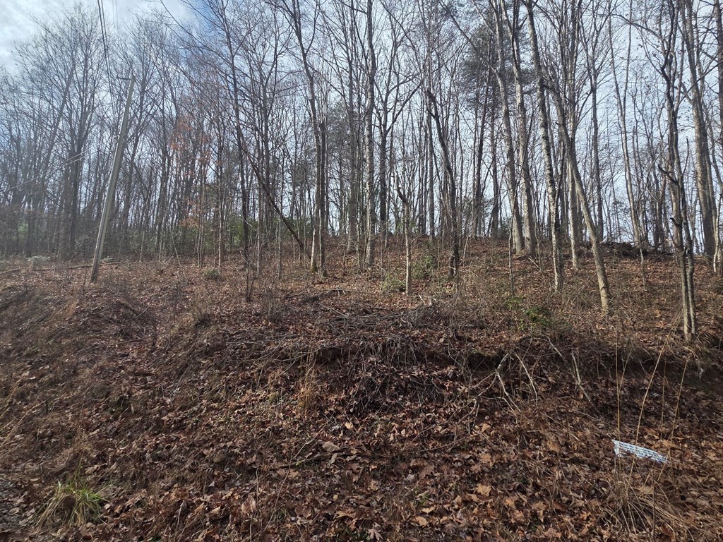 115 Calvender Road Turtletown, TN 37391 - Photo 25 of 25