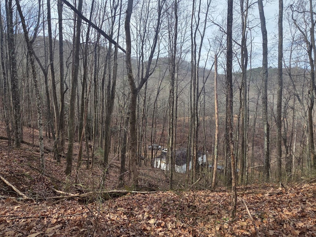 115 Calvender Road Turtletown, TN 37391 - Photo 3 of 25