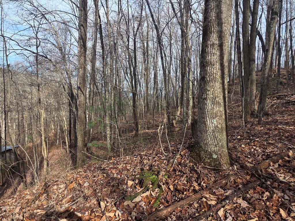 115 Calvender Road Turtletown, TN 37391 - Photo 4 of 25