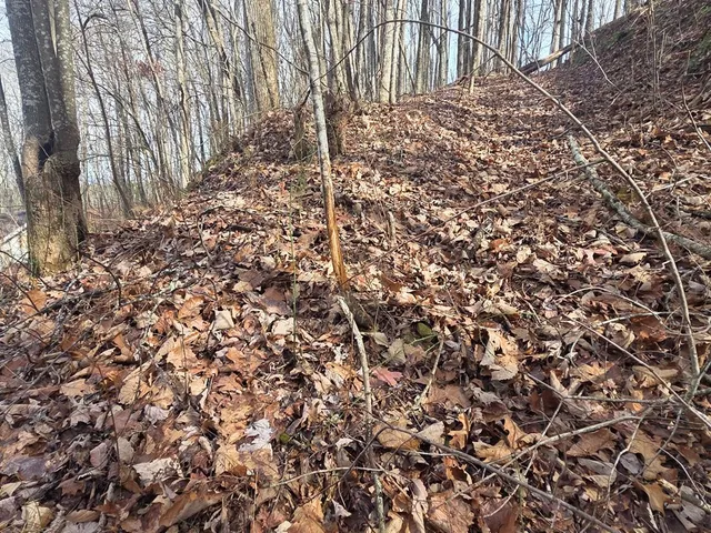 a view of outdoor space with deck and tree