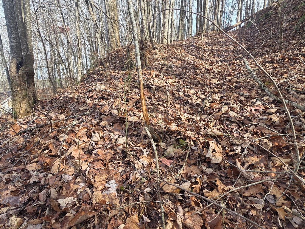 115 Calvender Road Turtletown, TN 37391 - Photo 5 of 25