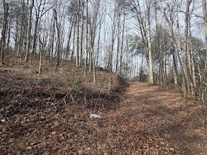 115 Calvender Road Turtletown, TN 37391 - Photo 6 of 25