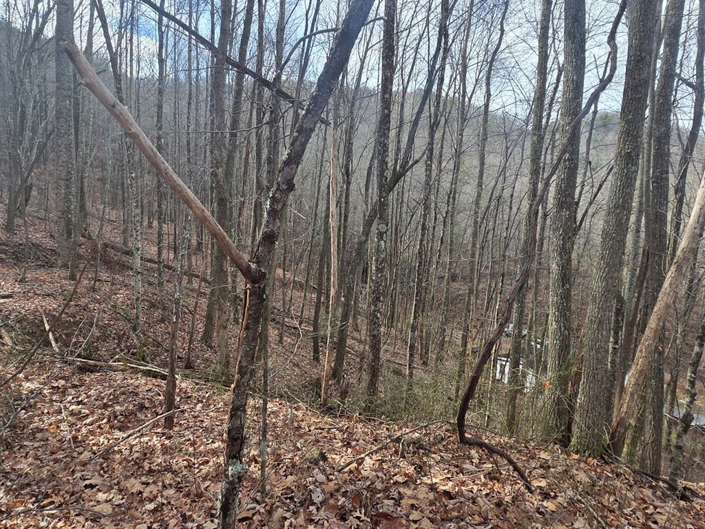 115 Calvender Road Turtletown, TN 37391 - Photo 8 of 25