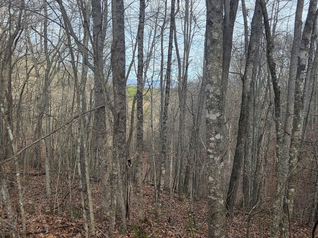 115 Calvender Road Turtletown, TN 37391 - Photo 9 of 25