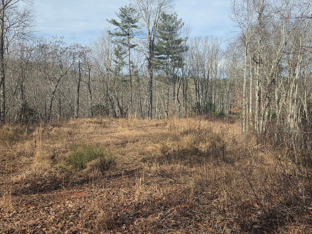 115 Calvender Road Turtletown, TN 37391 - Photo 10 of 25