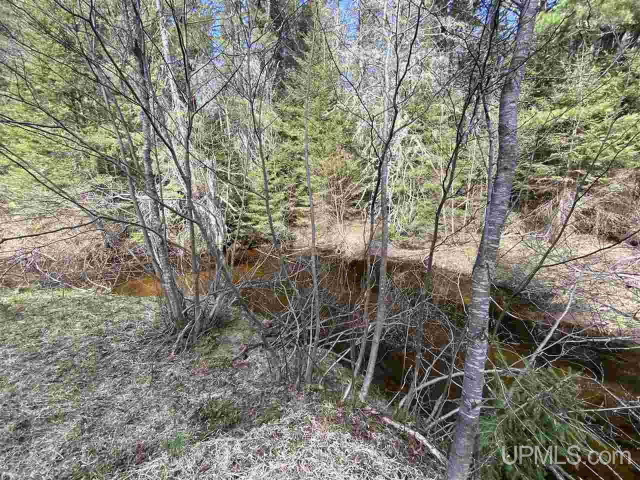 Tbd Tbd Co Road Negaunee, MI 49866 - Photo 16 of 40