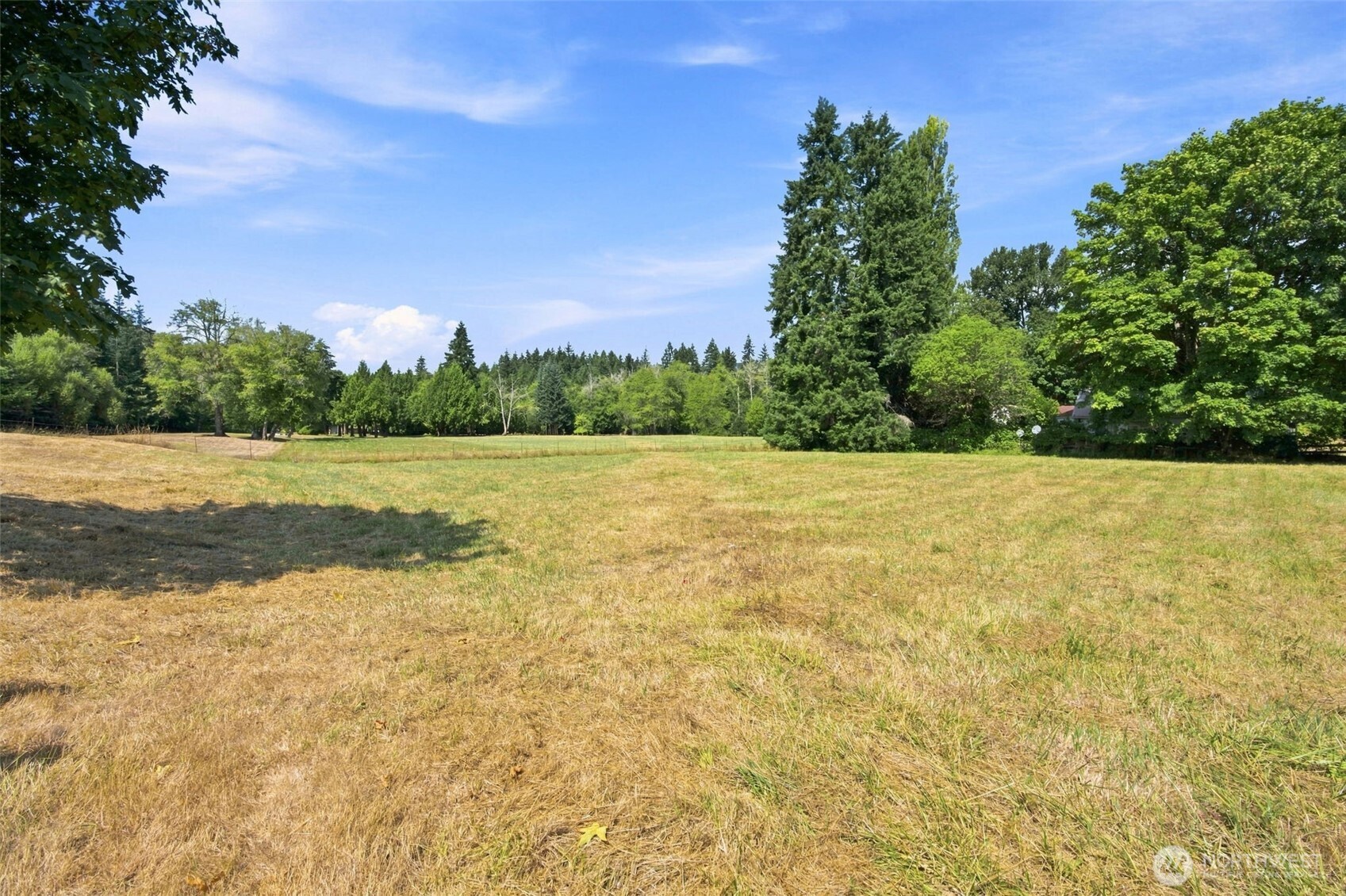 0 Cedar Doty, WA 98539 - Photo 25 of 25 Gallery Image 25