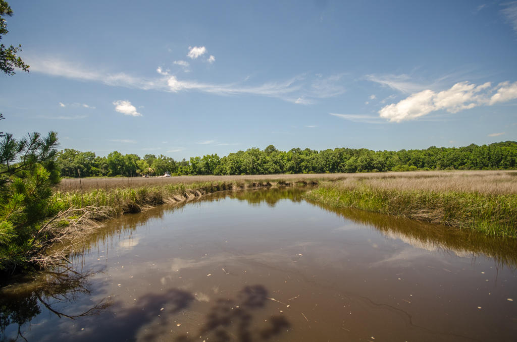 8627 Doar Road Awendaw, SC 29429 - Photo 4 of 16 BAC_3687