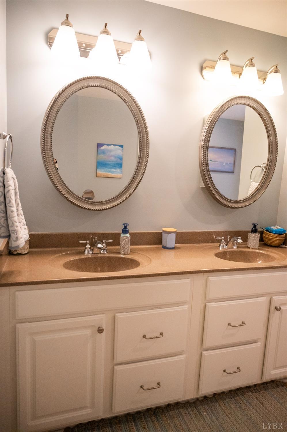 54 Bridge Tree Court Evington, VA 24550 - Photo 54 of 93