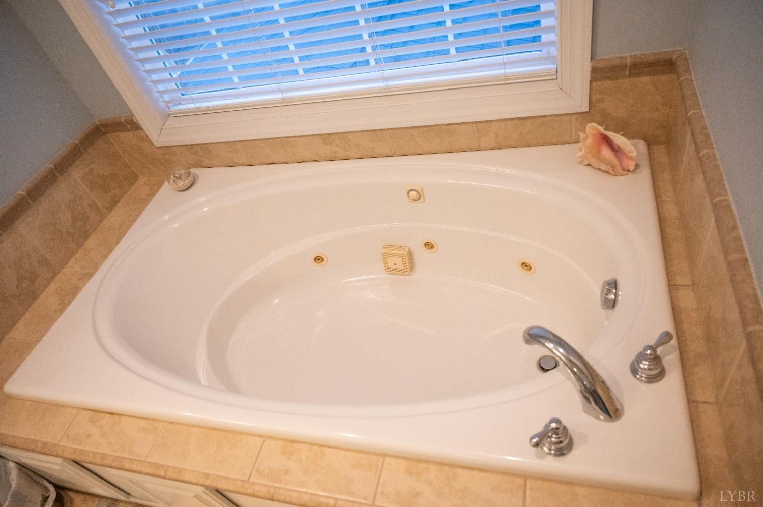 54 Bridge Tree Court Evington, VA 24550 - Photo 57 of 93