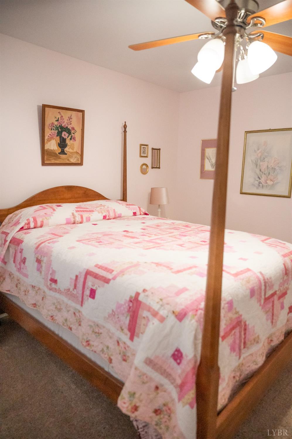 54 Bridge Tree Court Evington, VA 24550 - Photo 65 of 93