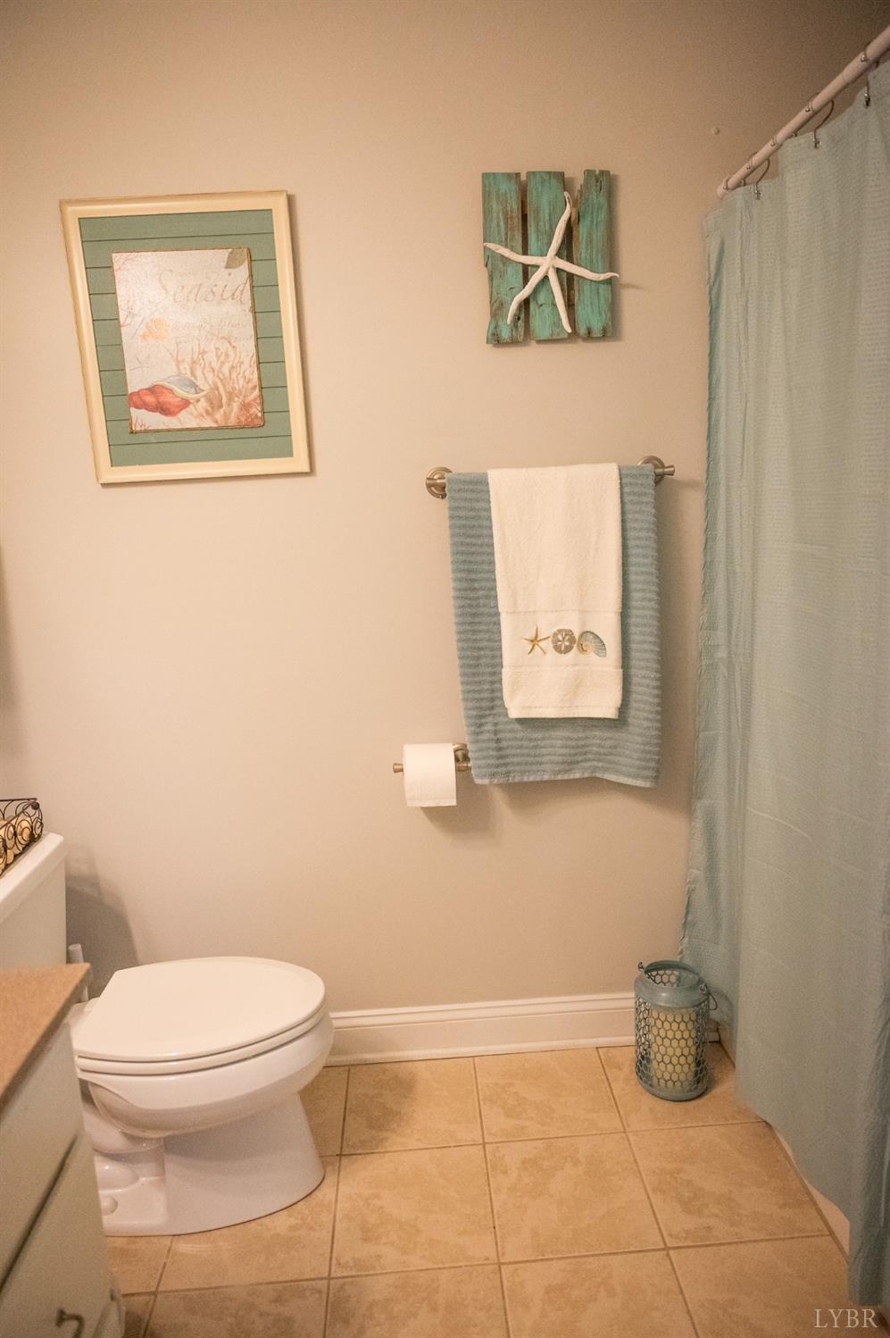 54 Bridge Tree Court Evington, VA 24550 - Photo 71 of 93