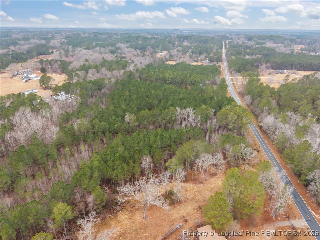 Tbd East Reeves Bridge Road Linden, NC 28356 - Photo 4 of 15 Gallery Image 4