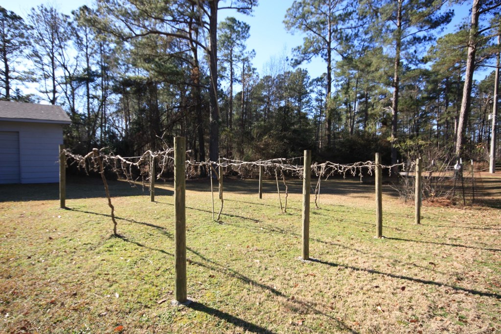 8008 Garrett Road Midland, GA 31820 - Photo 25 of 29