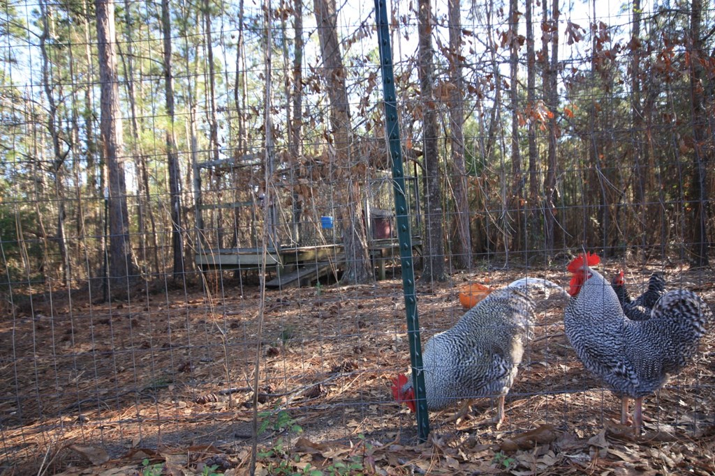 8008 Garrett Road Midland, GA 31820 - Photo 29 of 29