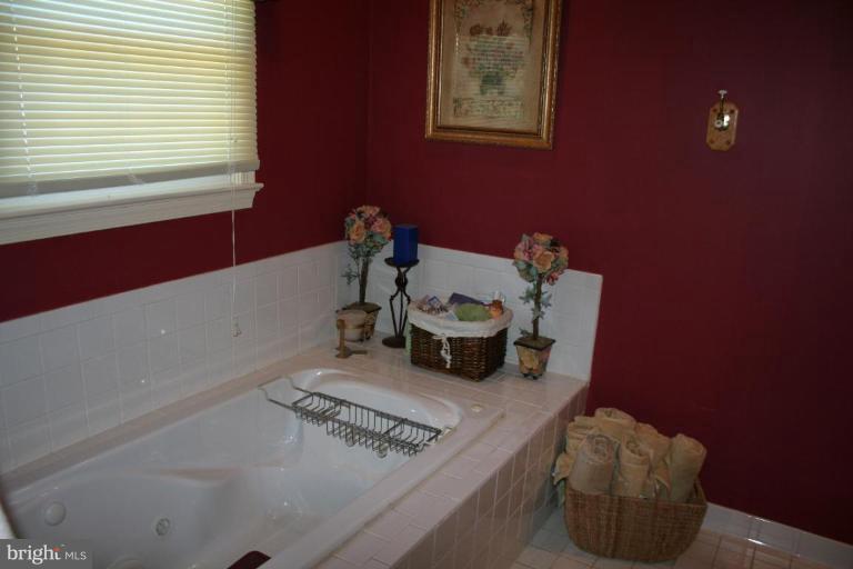 1337 Excaliber Lane Silver Spring, MD 20906 - Photo 17 of 26 Master Bath