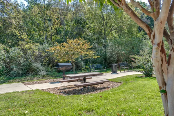 a view of a backyard with wooden fence