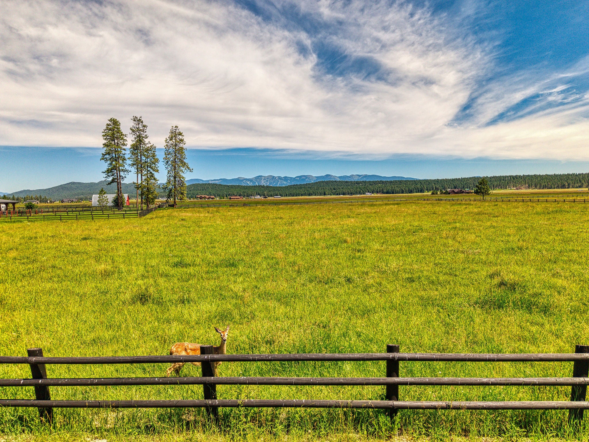 1212 Spring Prairie Ranch Road Whitefish, MT 59937 - Photo 168 of 168 Gallery Image 168