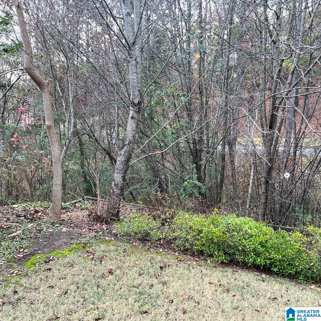 229 Beaver Crest Pelham, AL 35124 - Photo 19 of 19