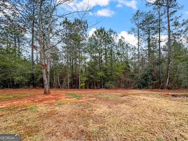 a house with trees in the background