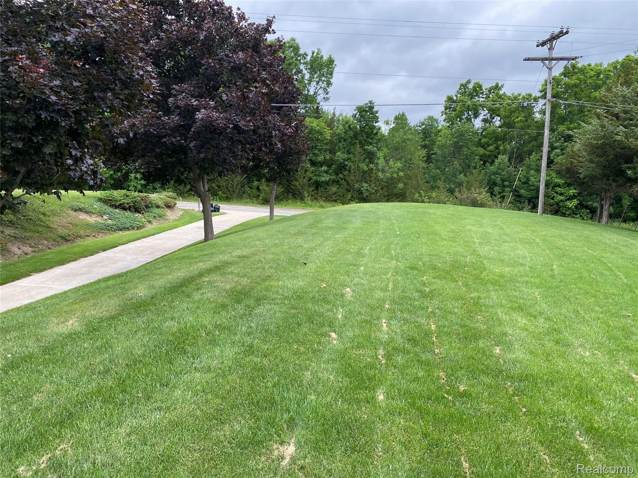 10516 Runyan Lake Road Fenton, MI 48430 - Photo 22 of 30 Private Front Yard To Road!